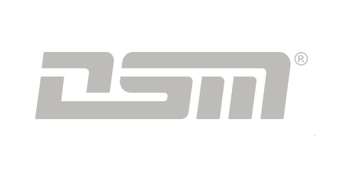 DSM Messtechnik GmbH